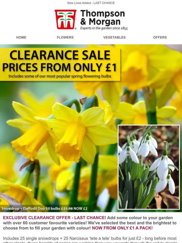 From Just £1 - CLEARANCE SALE - FINAL 48 HOURS