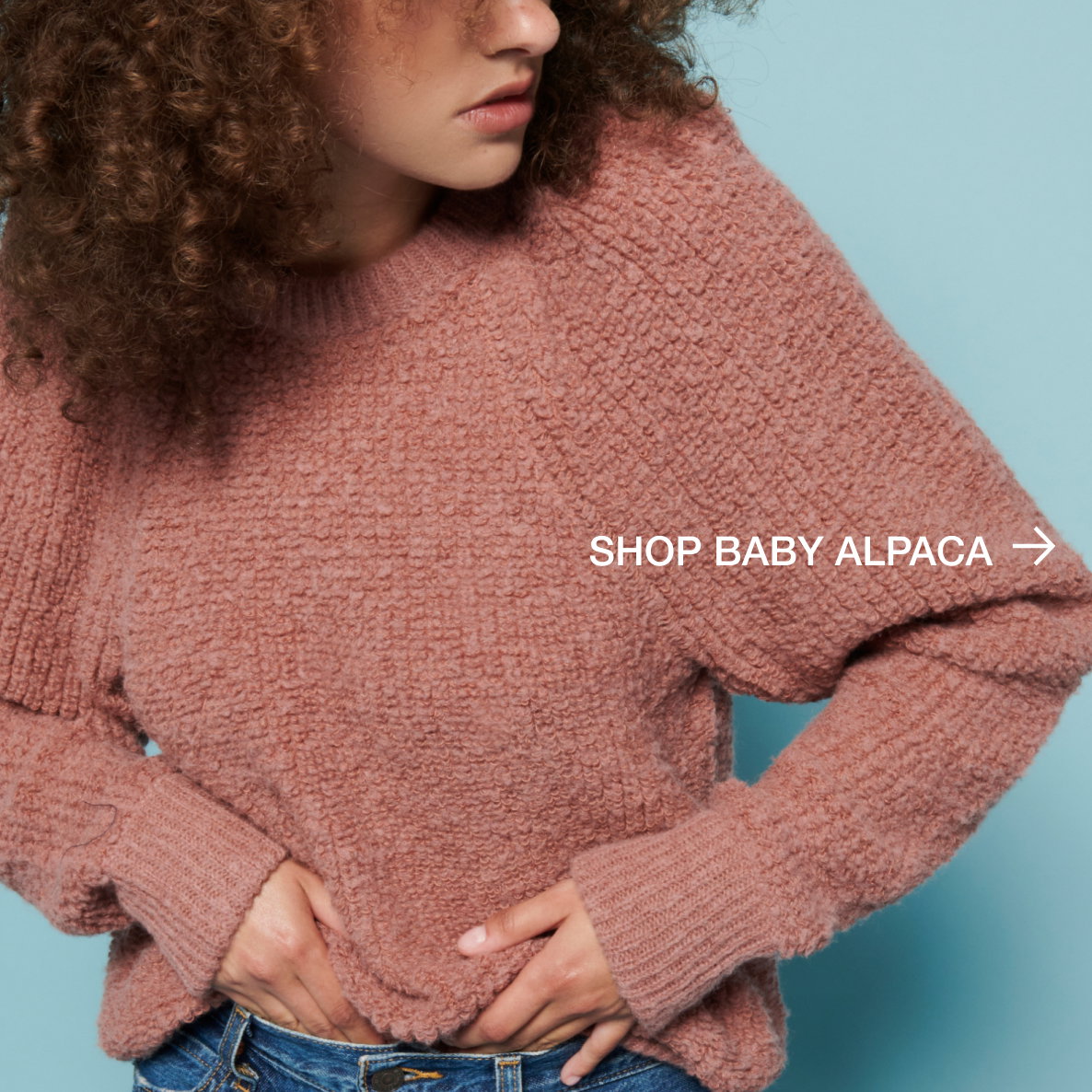 Baby Alpaca | NATION LTD