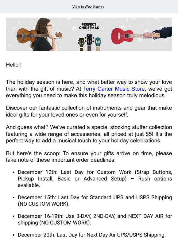 Get the Perfect Musical Gifts for the Holidays!