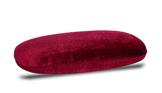 Hier ist ein Etui zu sehen.