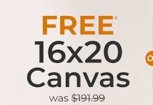 FREE* 16x20 Canvas - was $191.99