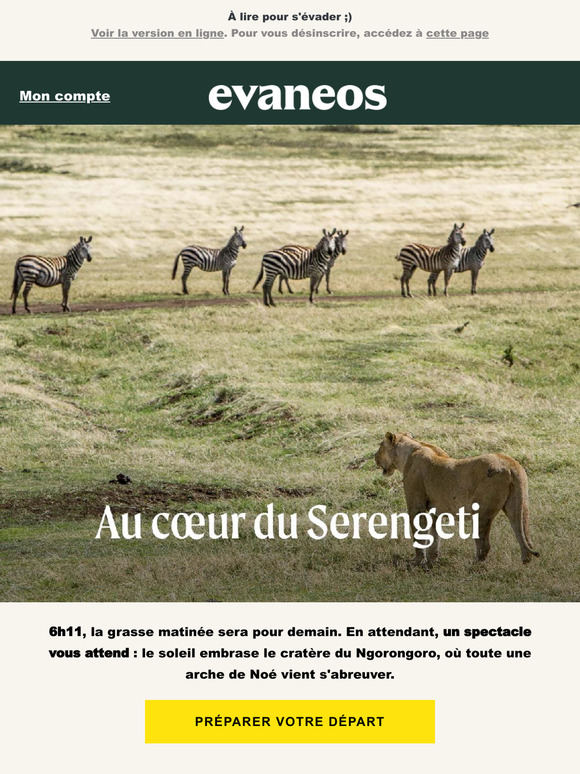 Vous venez d'atterrir en Tanzanie