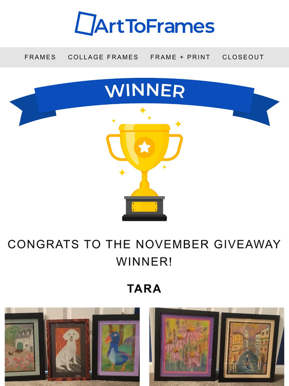 🥳 November's Star: Announcing Last Month's Lucky Winner