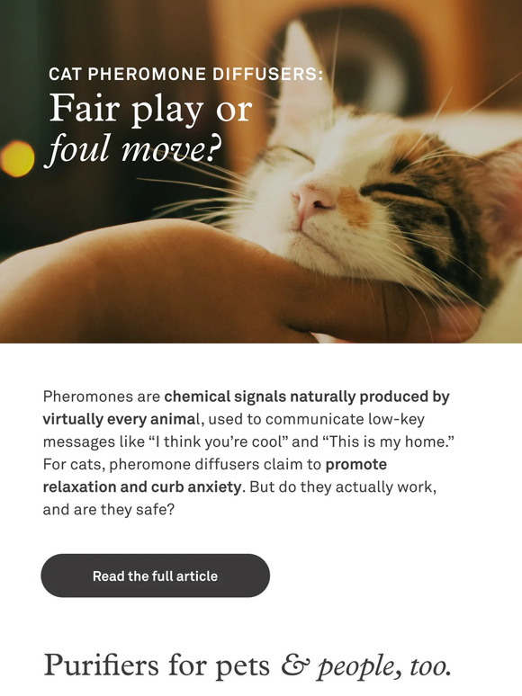 Do cat pheromone diffusers work?