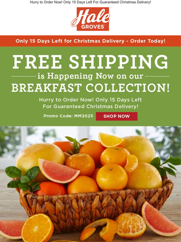 🎄 FREE Shipping is Happening Now on our Breakfast Collection!🚚