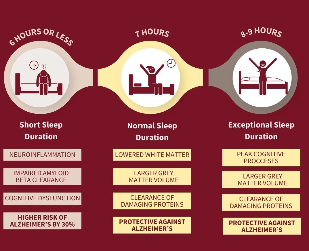 NeuroReserve: How Quality Sleep Recharges Your Brain Overnight | Milled