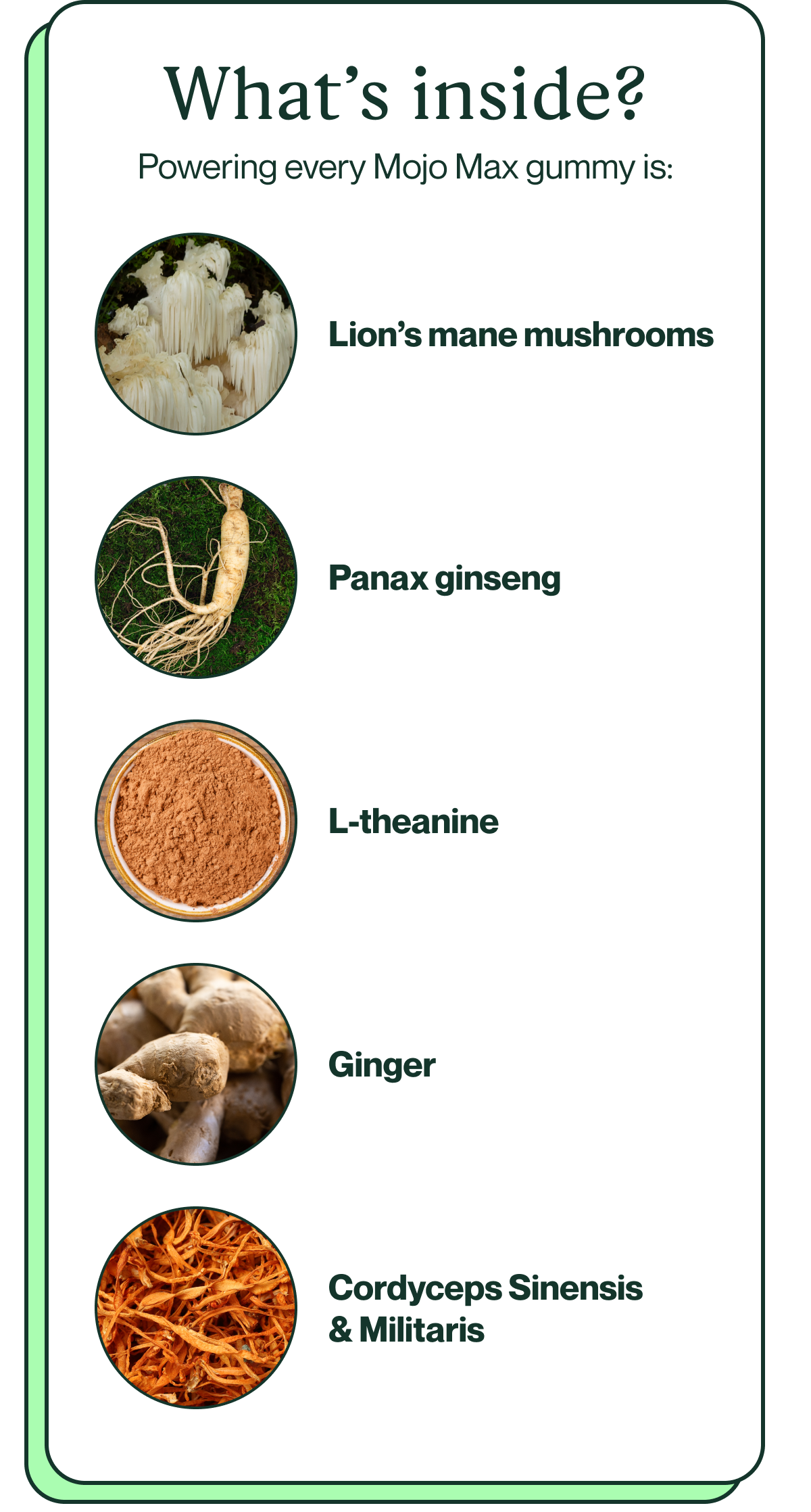 What's inside? Powering every Mojo Max gummy is: Lion's mane mushrooms, Panax ginseng, L-theanine, Ginger, Cordyceps Sinensis & Militaris