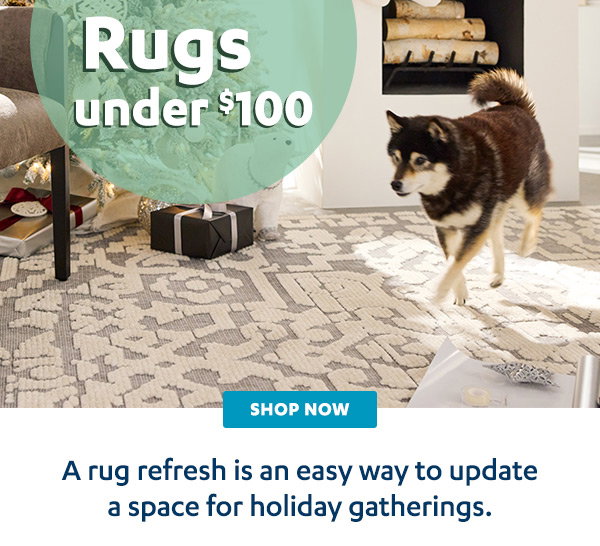 Rugs Under $100 | Shop Now >