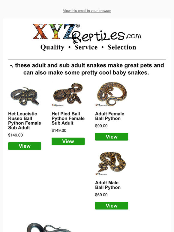 XYZReptiles 🐍New Adult Ball Python Morphs and House Snakes Milled