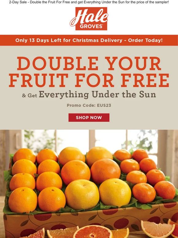 ☀ Double Your Fruit for FREE & Get Everything Under the Sun! ☀