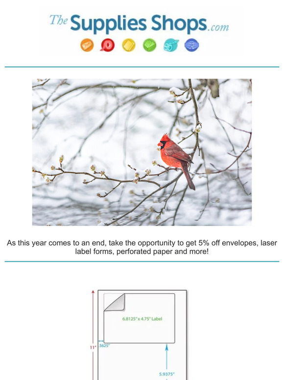 End of Year Sale