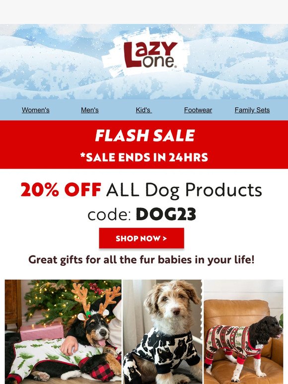 🐶 Flash Sale On Pet Products 🎄