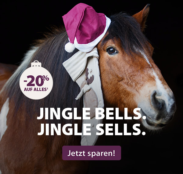 Advents-Deal: 20% Rabatt auf alles¹