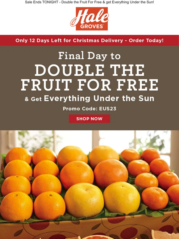☀ Final Day to Double the Fruit for FREE & get Everything Under the Sun! ☀