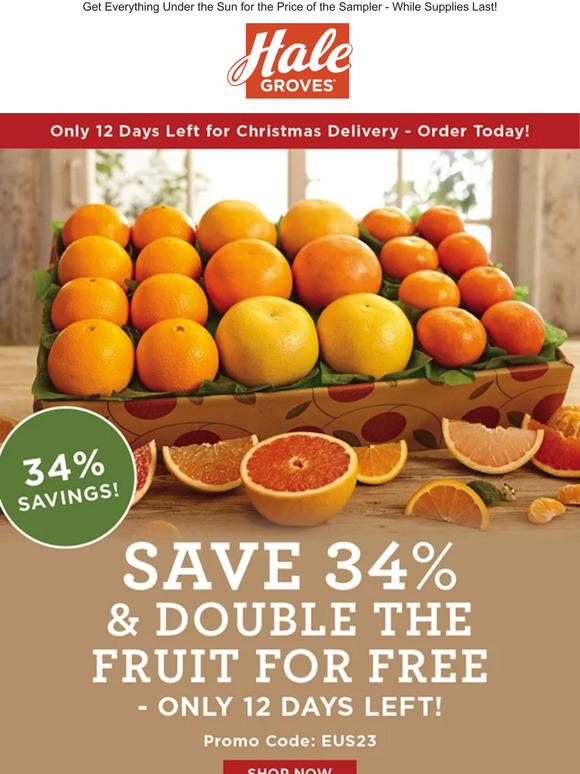 🎄 Save 34% & Double the fruit for FREE - Only 12 Days Left! ☀