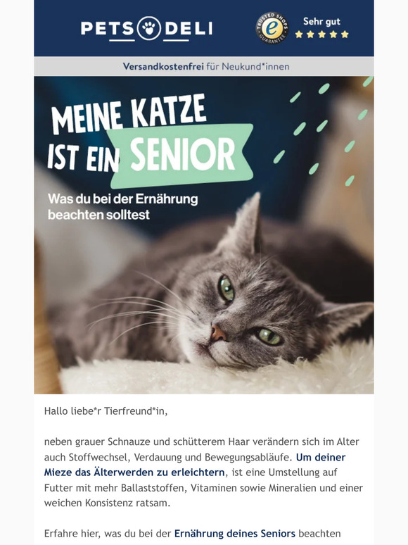 Das richtige Futter für graue Schnauzen!