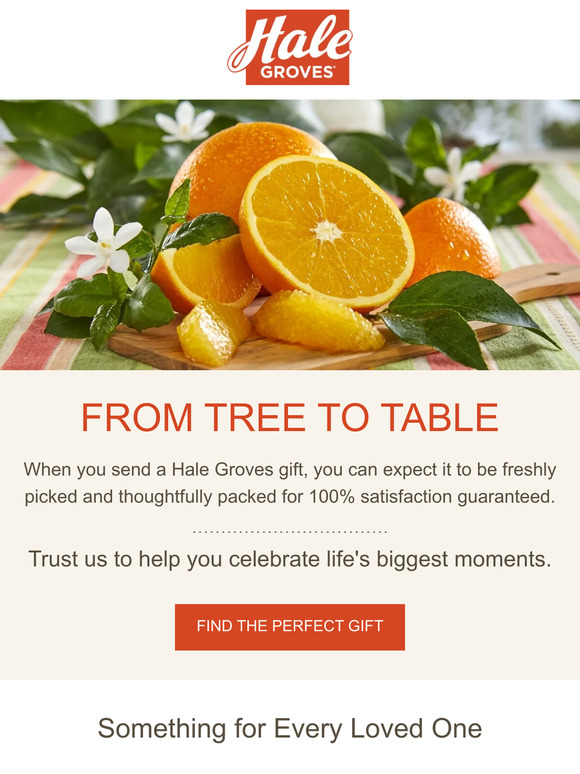Looking for the Perfect Gift? 🍊