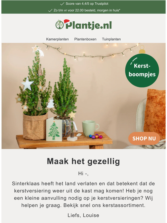Heb jij al een kerstboom? 🎄