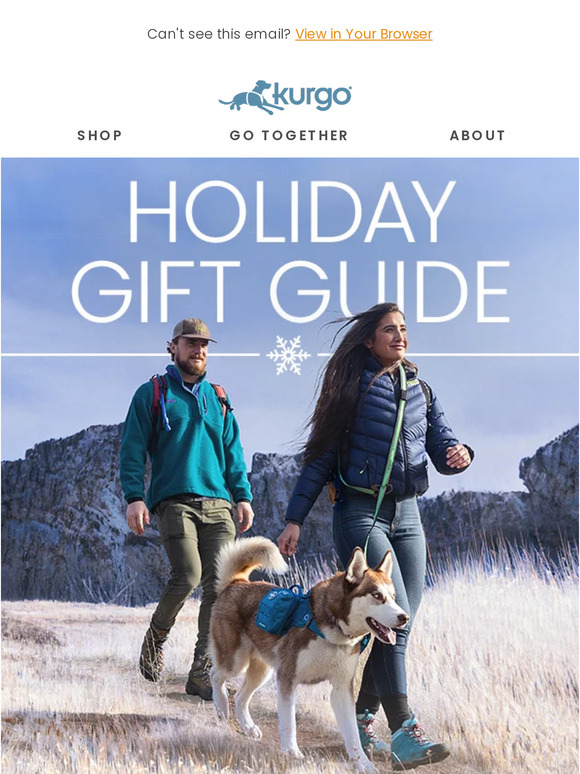 The Gift Guide Your Dog Hopes You See