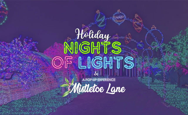 Holiday Nights of Lights