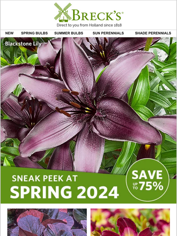Breck's Order your spring 2024 plants in 2023 and SAVE! Milled