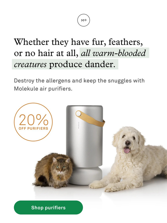 This sale is paw-some 🐾