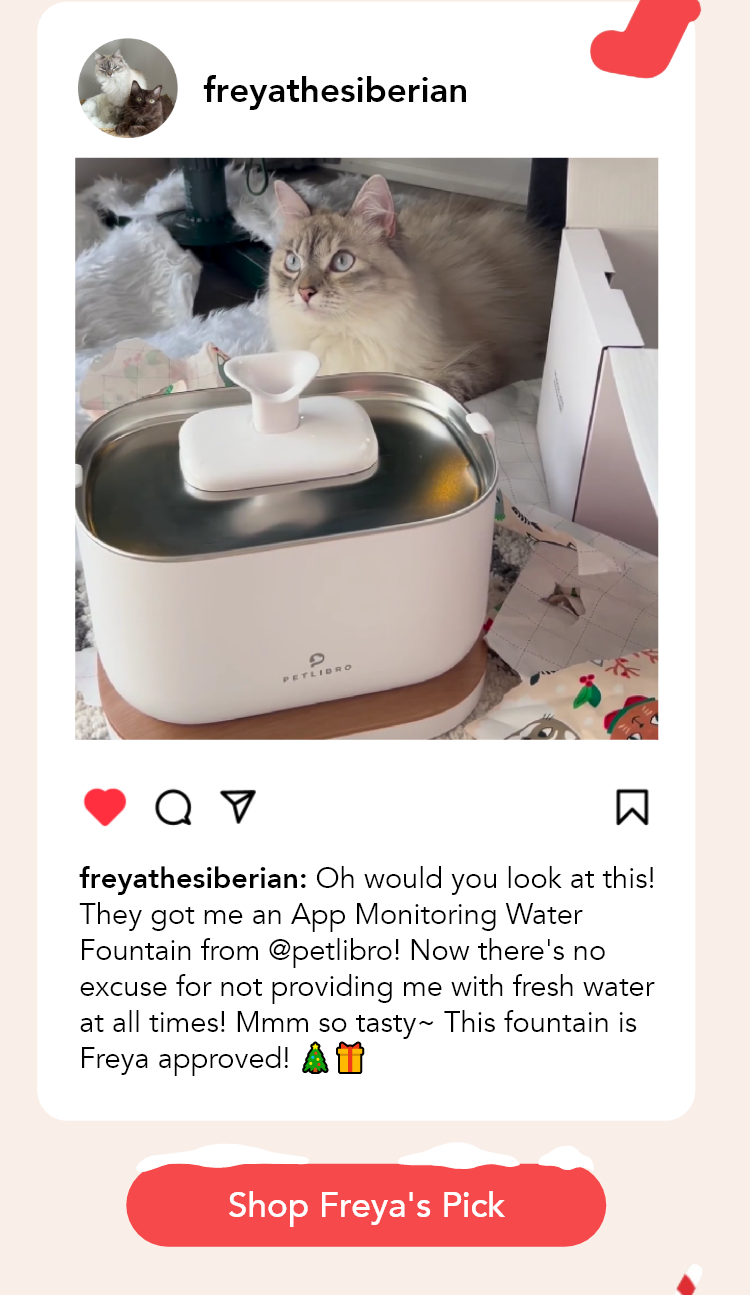 Shop Freya's Pick: App Monitoring Water Fountain