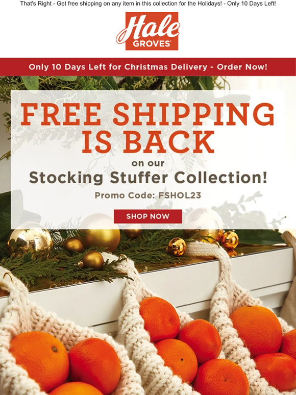 🎄 FREE Shipping is BACK on our Stocking Stuffer Collection! 🎁