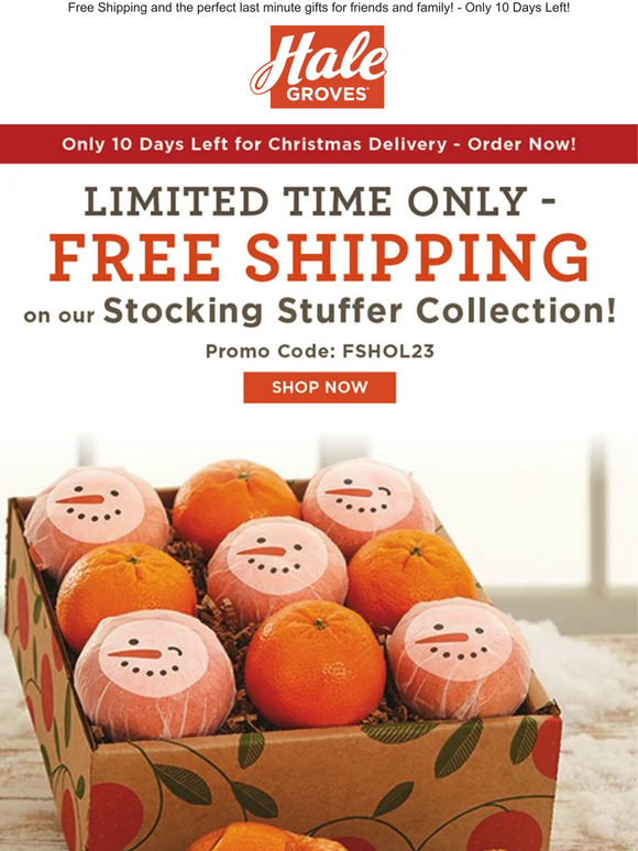 🎁🎄 Limited Time Only - Free Shipping on our Stocking Stuffer Collection! 🍊