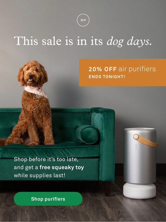 Last chance to shop pet home essentials