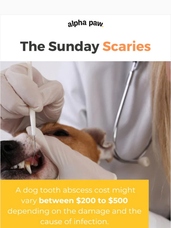 Alpha Paw Dog Tooth Abscess is extremely costly and dangerous... Milled