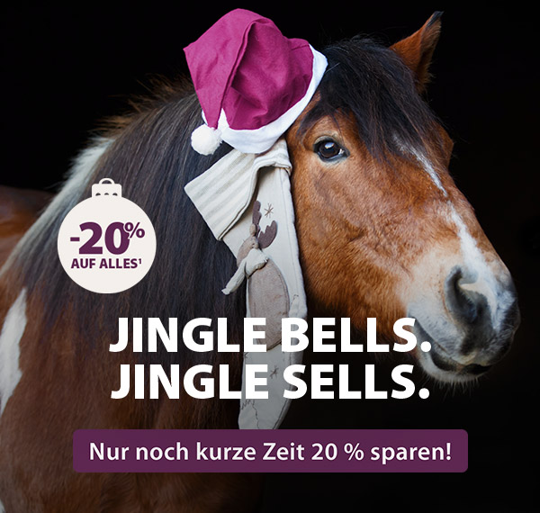 Adventsaktion: Nur noch heute: 20% auf Alles¹