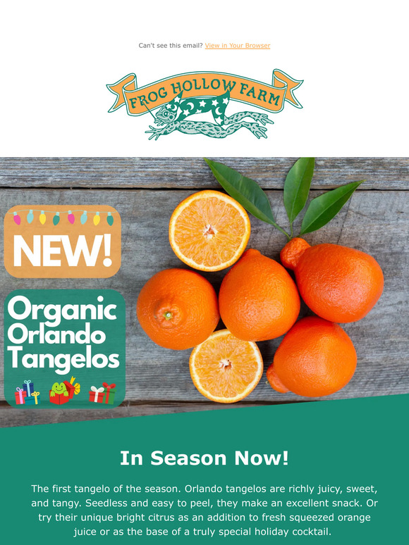 Satsuma Oranges - Frog Hollow Farm