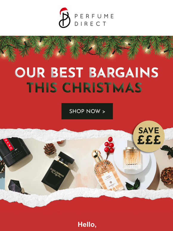 🎁 Holiday savings galore! Shop now and save big 🎁