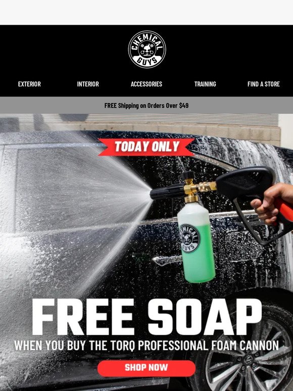 Bug & Tar Heavy Duty Car Wash Shampoo (16 oz)