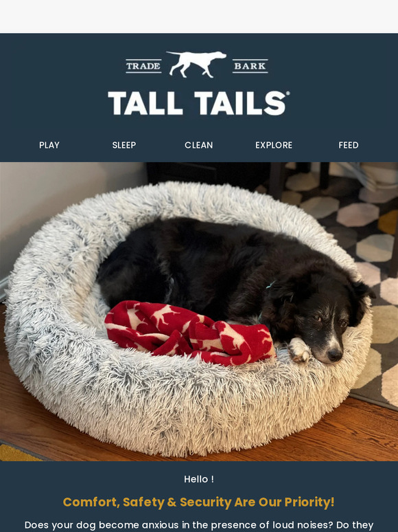 Tall Tails Dog Holiday 2023 Gift Collection