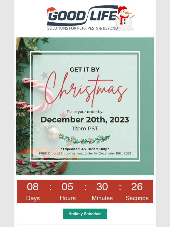 🎁 Act Fast: Ensure Christmas Delivery – Don't Miss Out on the Perfect Gift! 🎄