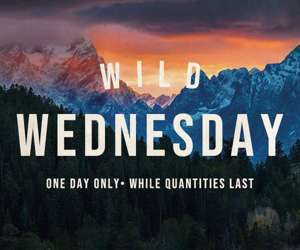 Wild Wednesday