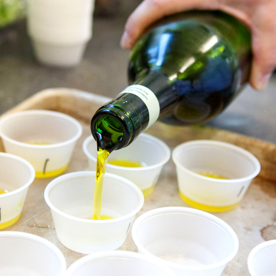 Olive oil testing