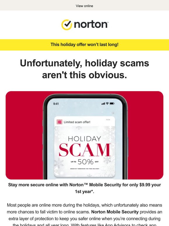 Holiday shopping? Take online scams off your list.