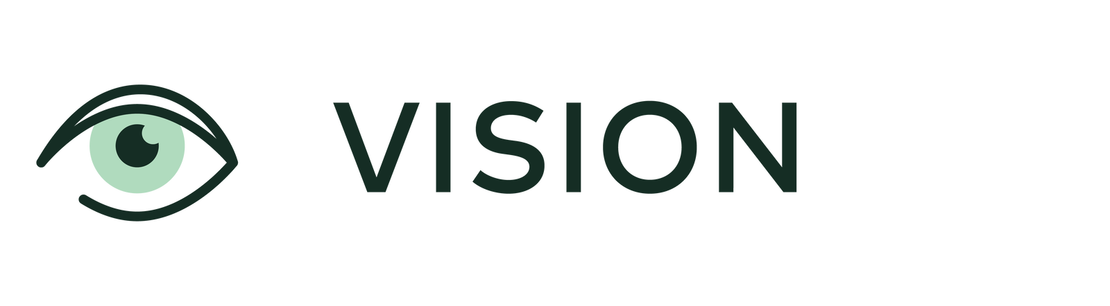 vision