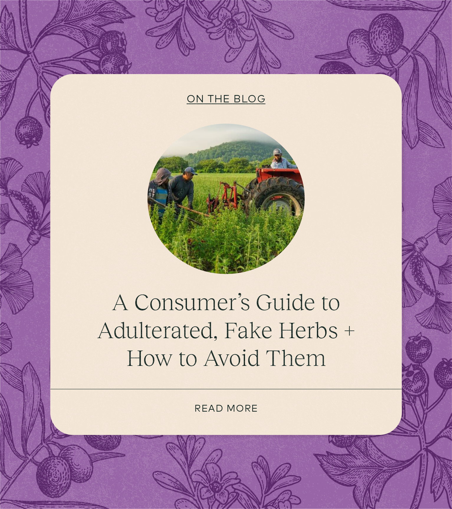 consumer guide to adulterated herbs - read more