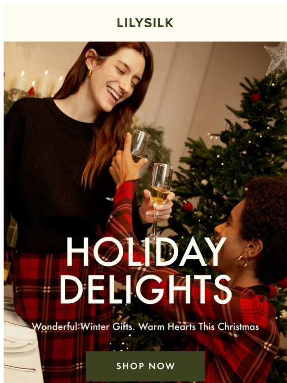 Unwrap 30% Off: Our Holiday Sale is Here