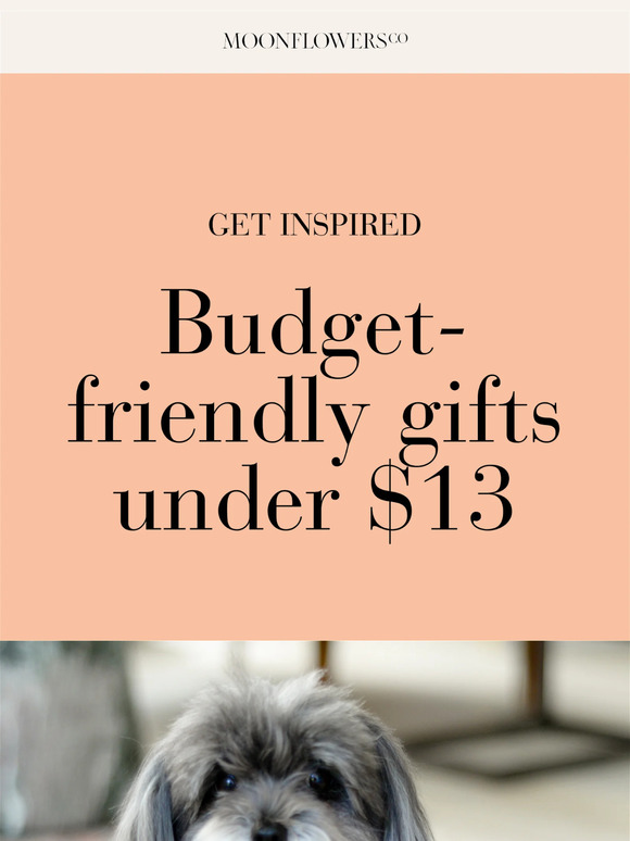 Exciting Ideas for Gifts Under $13!