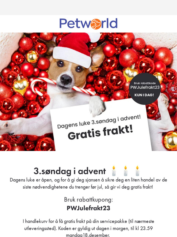 Dagens luke: Gratis frakt!📦