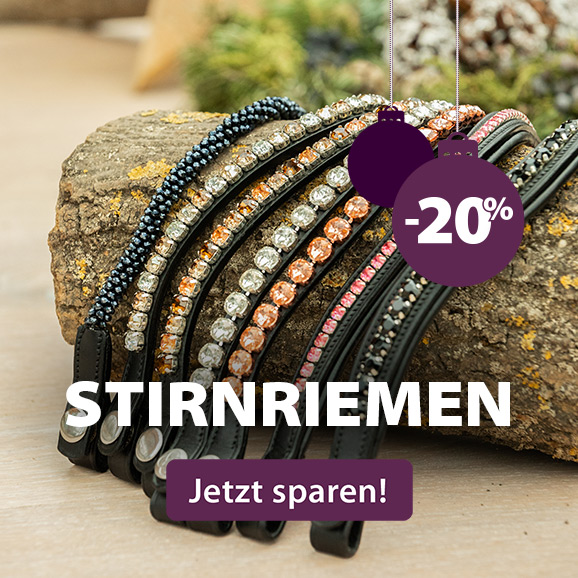 Stirnriemen