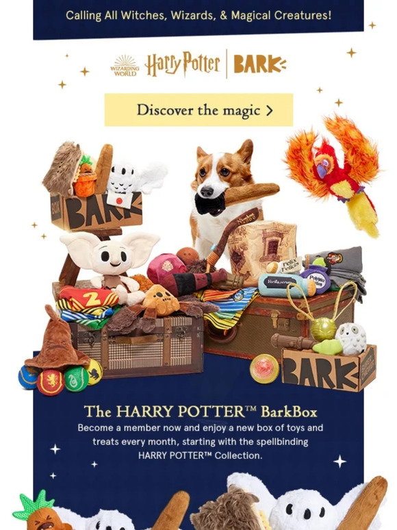 Bark: LIMITED TIME RESTOCK The HARRY POTTER™ BarkBox is back! | Milled