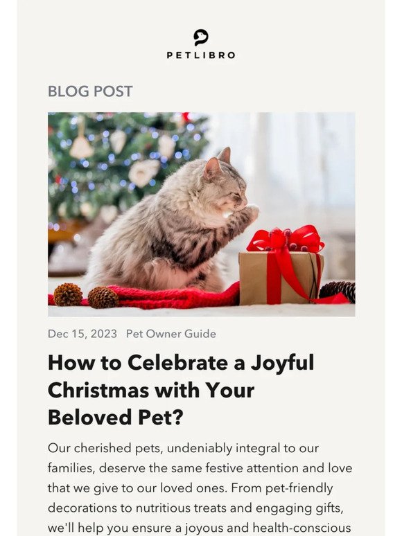 🐈🎄How to have a pet-friendly Christmas?