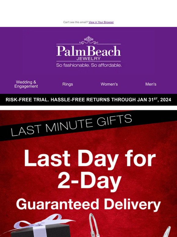 Last Day for 2-Day Guaranteed Delivery🎁
