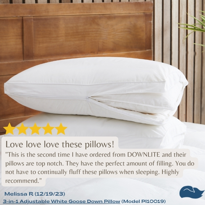 Downlite Soft Density 4-Pack Pillows